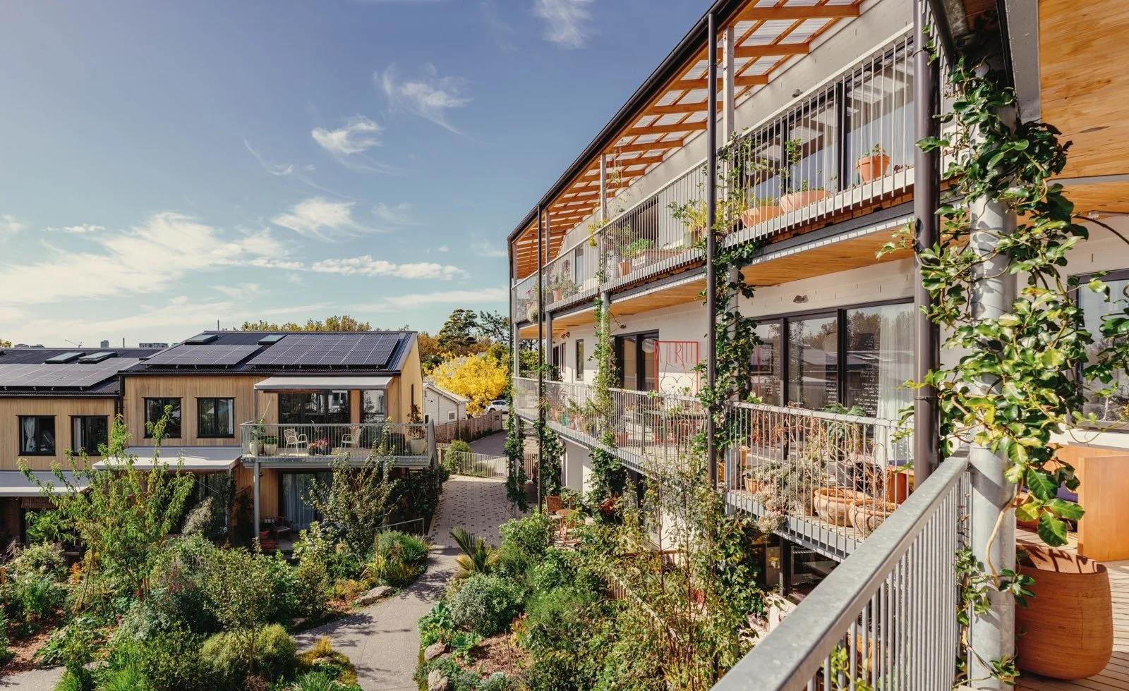 Community Energy as a Catalyst for Community Economy: A Case Study of Cohaus
