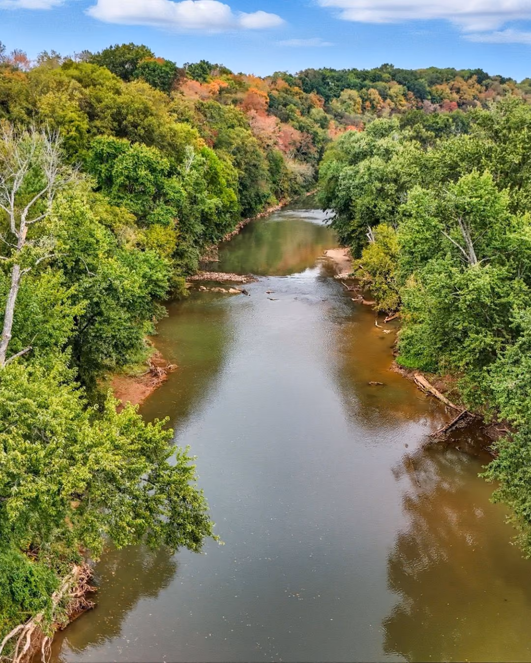 Calm river flowing through dense forest with green and some autumn-colored trees under a blue sky.