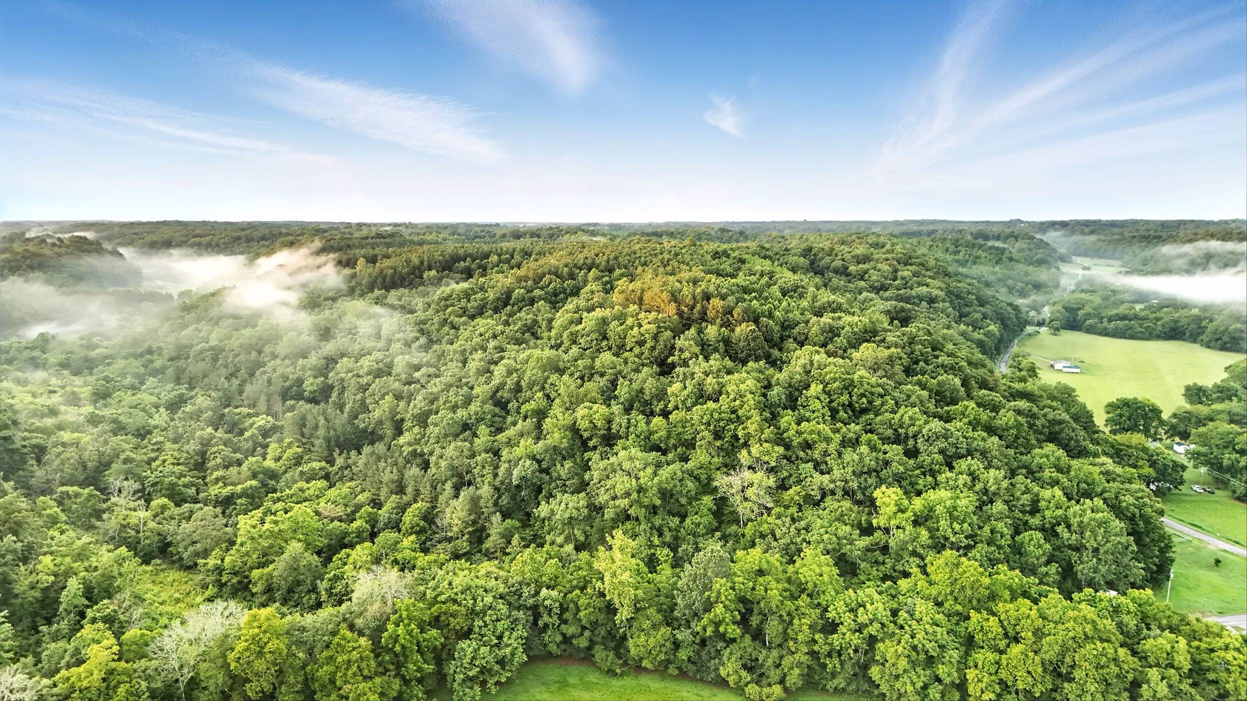 Aerial view of dense green forest with light mist and blue sky above.
