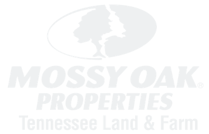 Mossy Oak Properties Logo