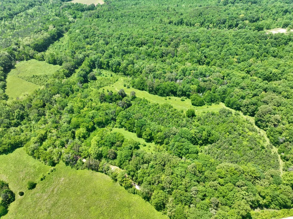 Aerial view of dense green forest with patches of open grassy areas and pathways.