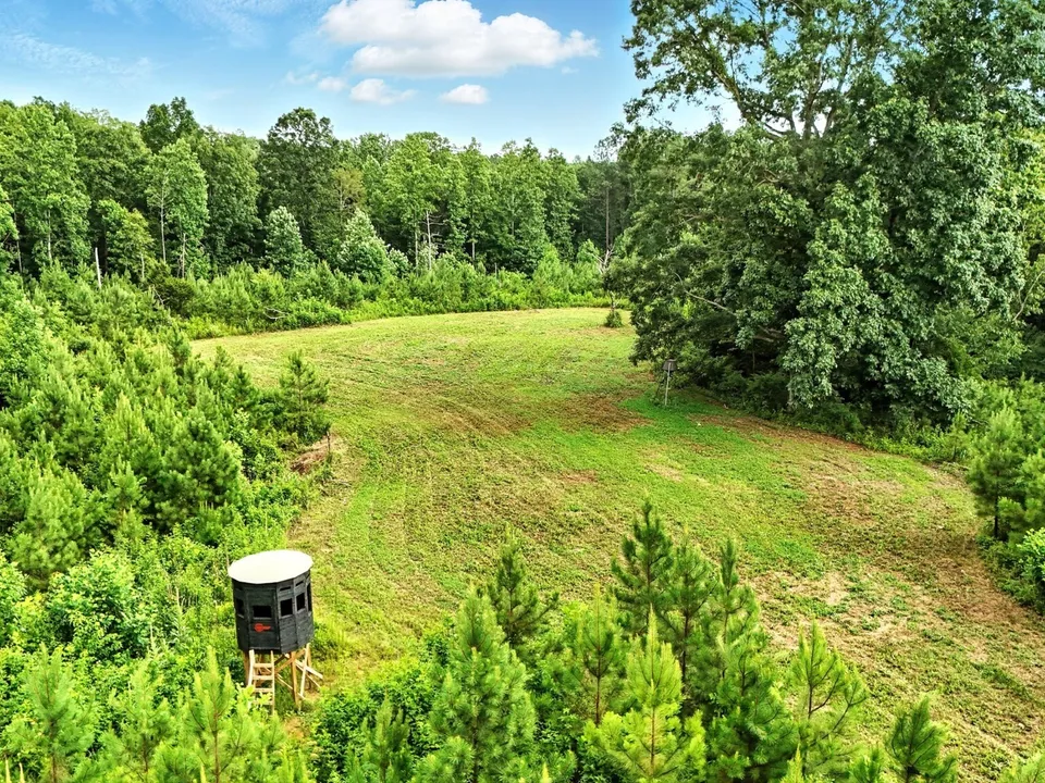Clearing in wooded land with a black elevated hunting blind and green trees under blue sky.