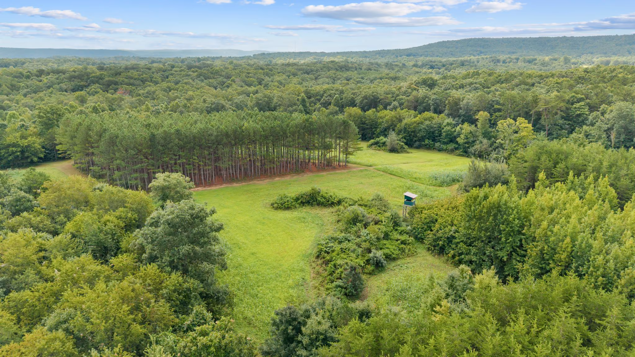 Aerial view of dense green forest, open grassy fields, and a hunting blind tower under a partly cloudy sky.