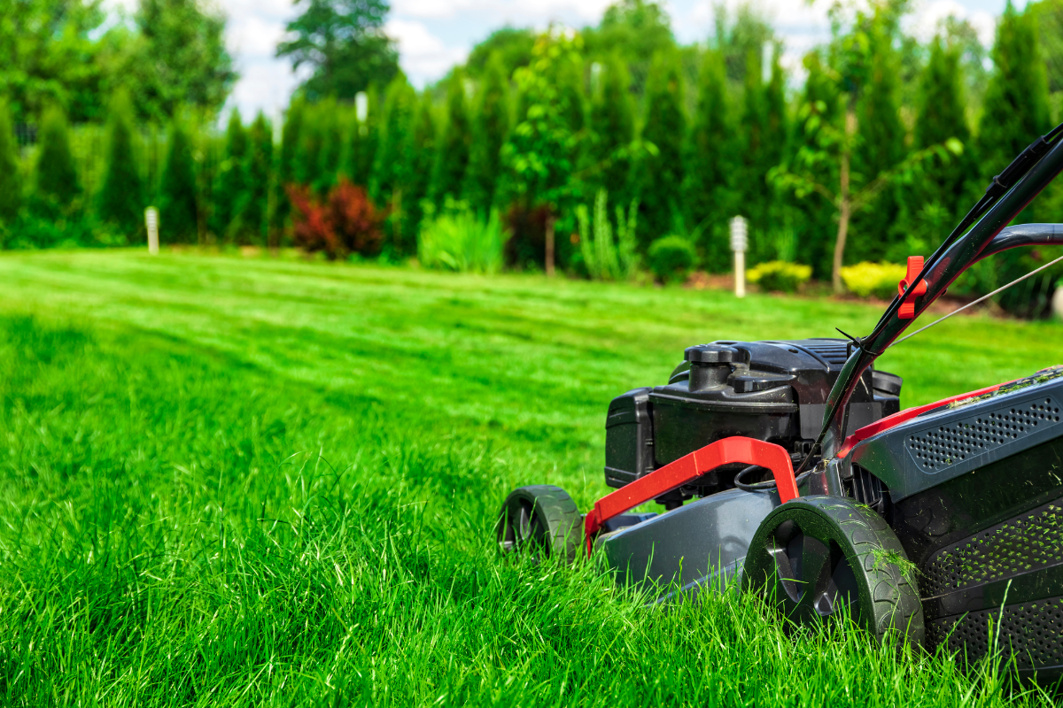 Lawn mowing services in sapulpa