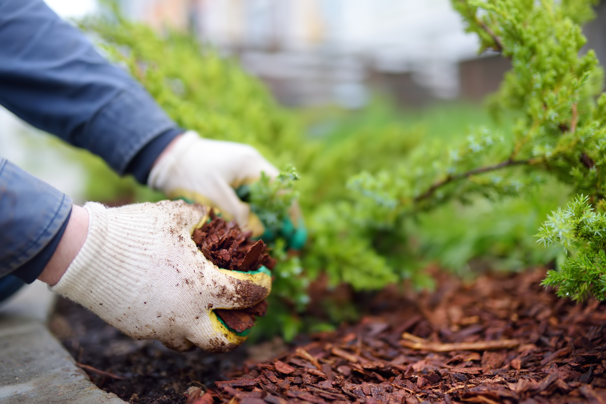 Mulch installation services in sapulpa