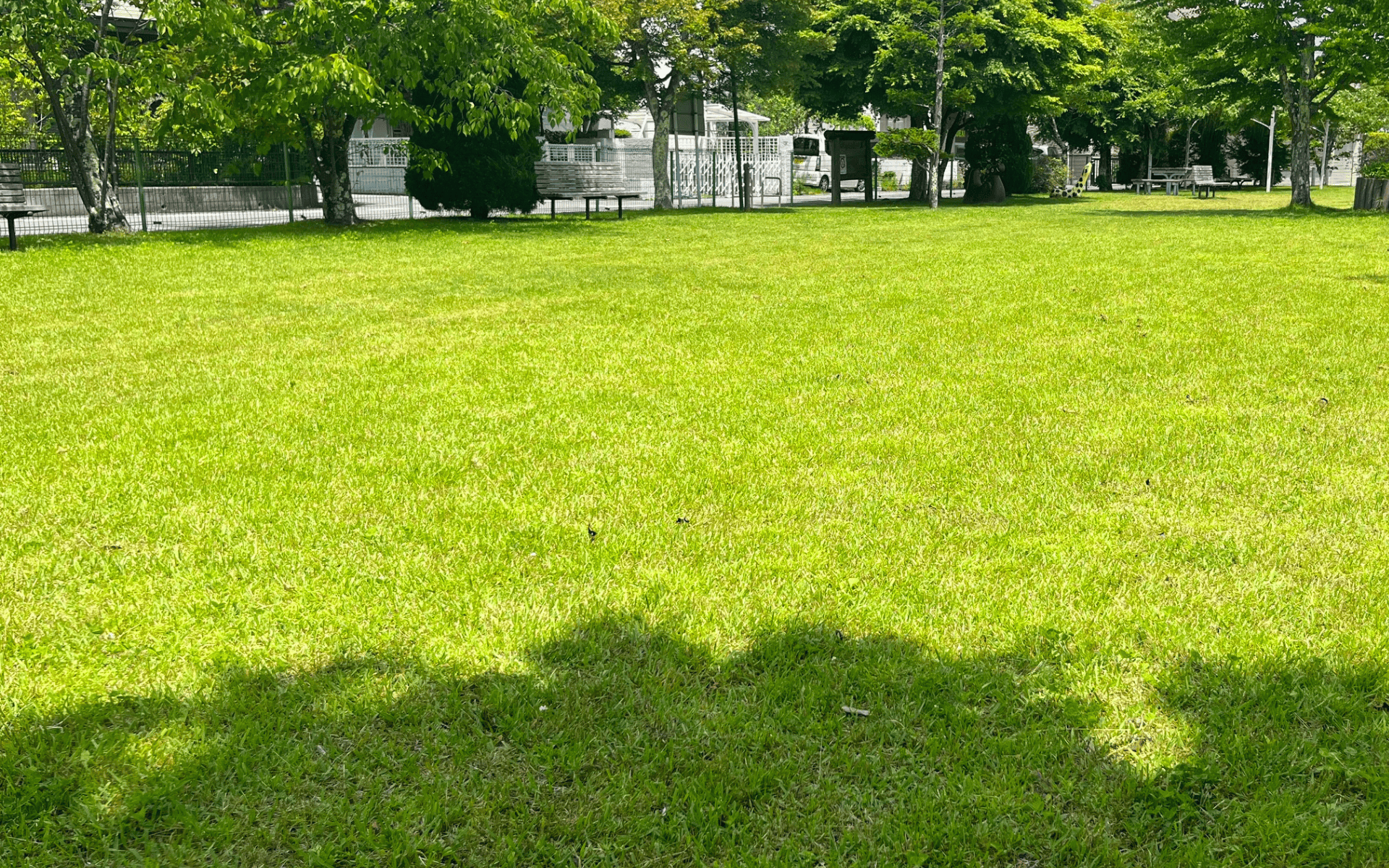 Jenks lawn freshly mowed