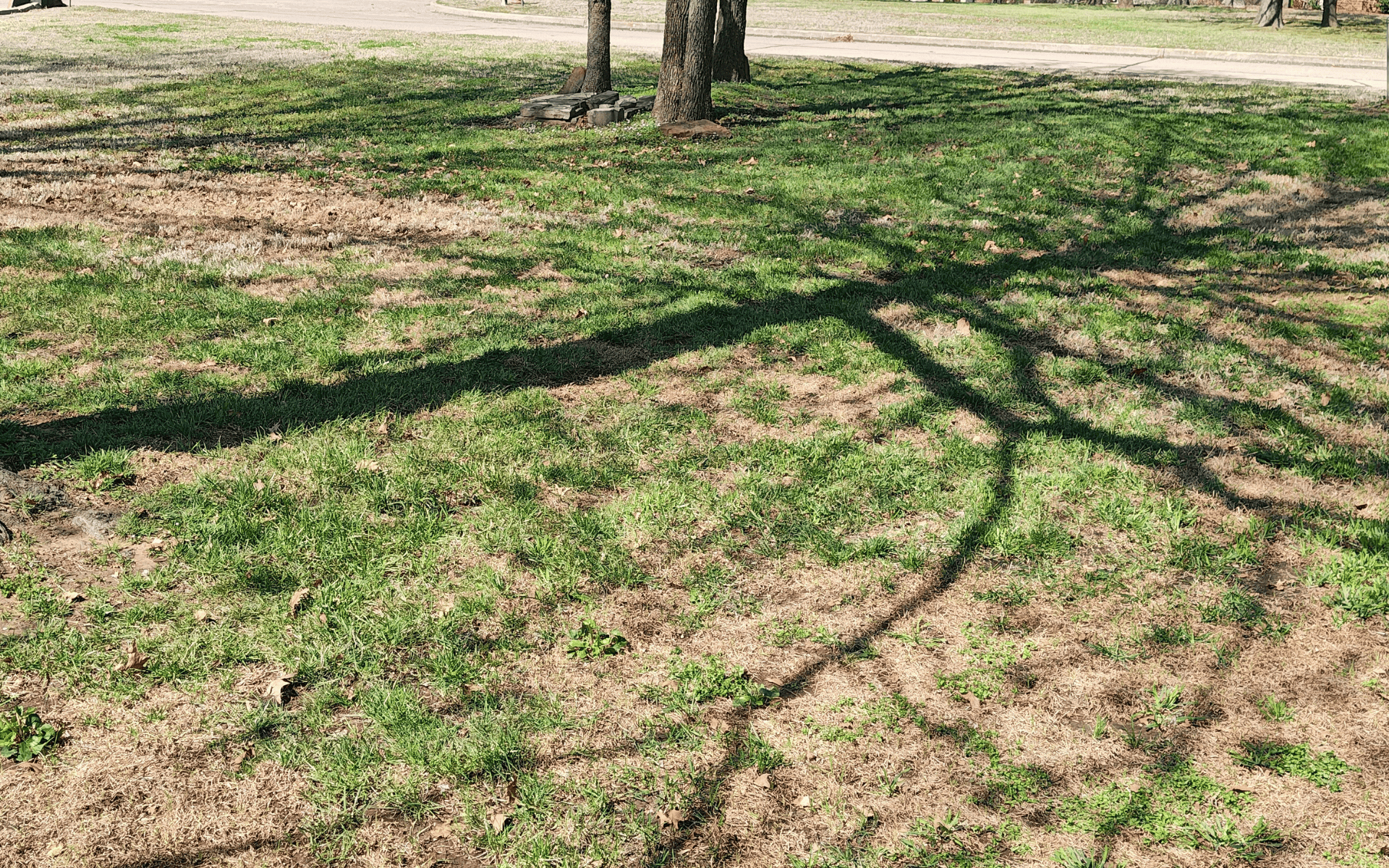 Sapulpa lawn freshly mowed