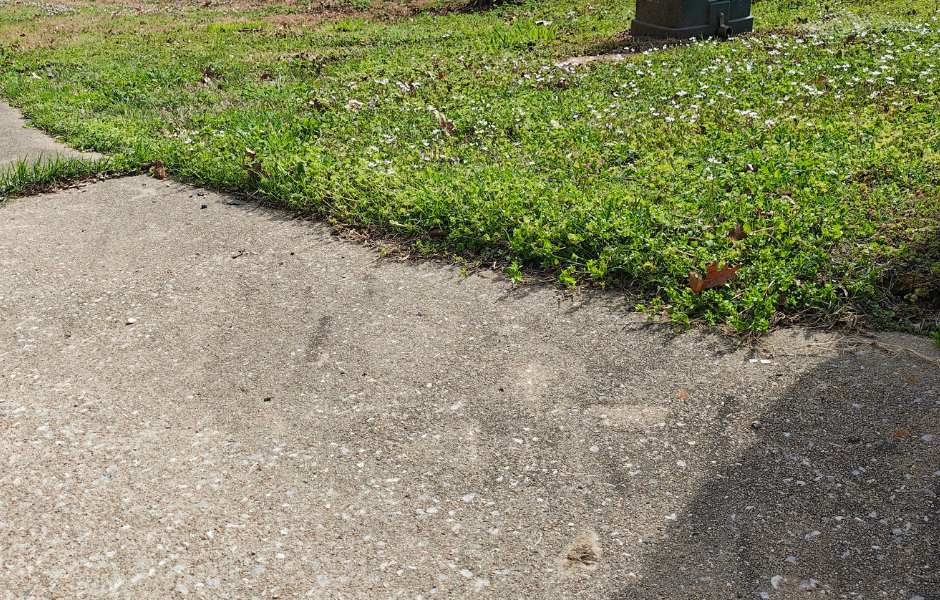 Before lawn mowing overgrown yard Sapulpa