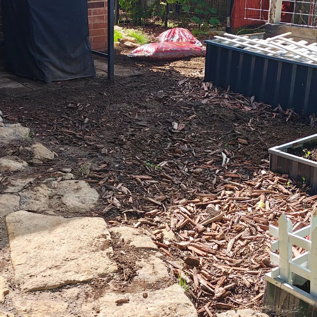 Backyard bed cleared and prepped with wood mulch beside raised garden beds