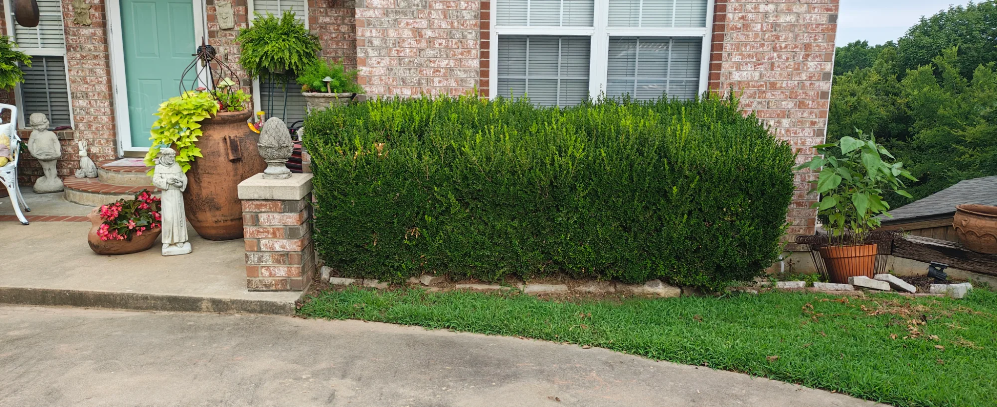 Freshly trimmed boxwood hedge in front of a brick house in Sapulpa, OK