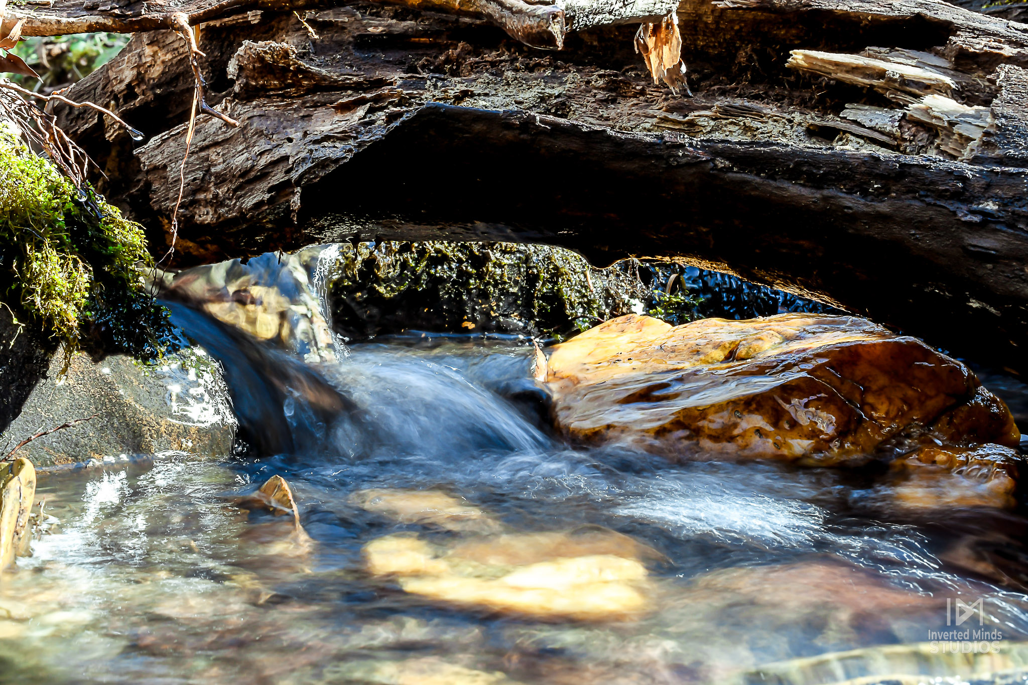 image of store helping customers (for a home goods store)