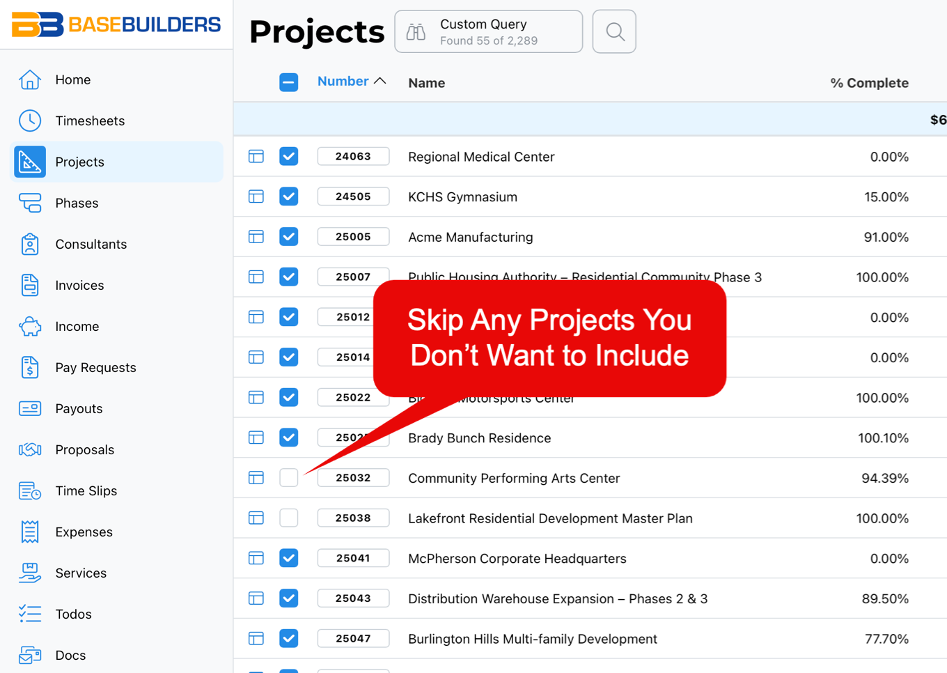 Project management dashboard listing projects with checkboxes for selection and a message saying 'Skip Any Projects You Don’t Want to Include'.