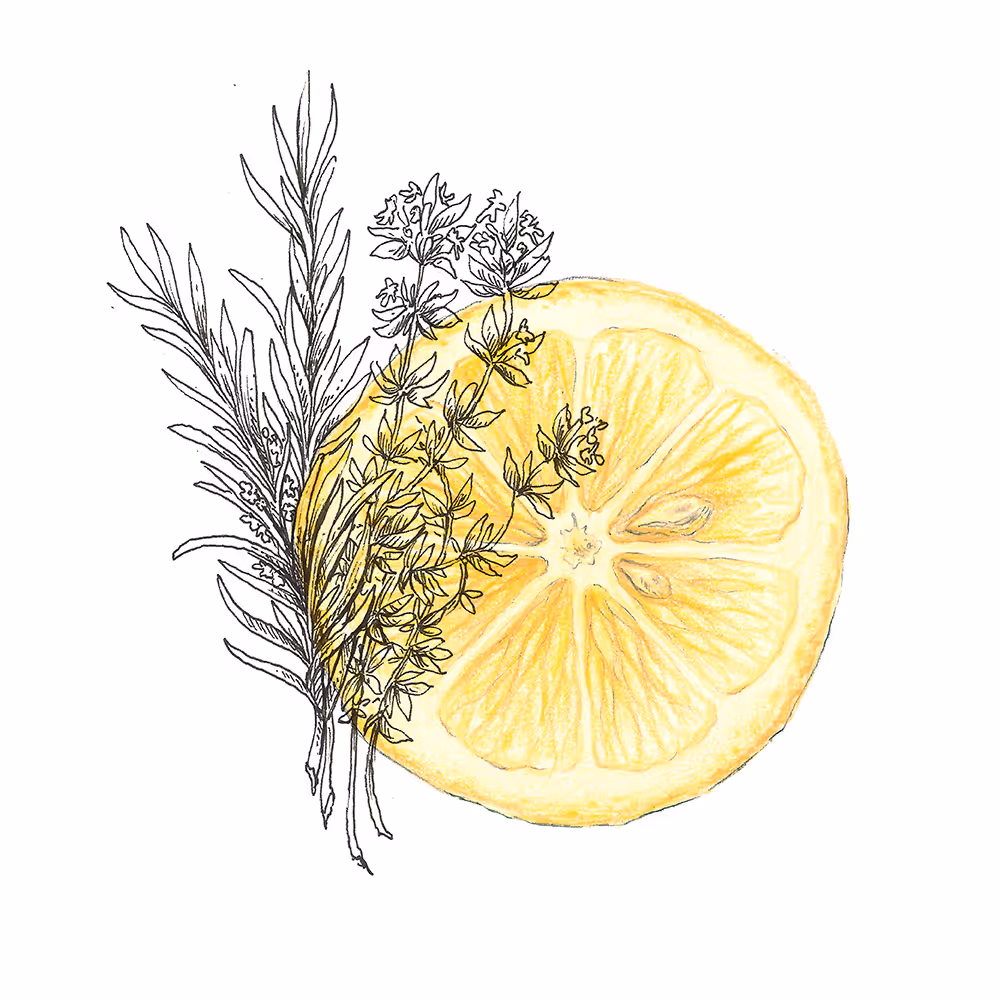 Ilustrace plátku citronu s větvičkami bylin náčrtem v černých liniích.