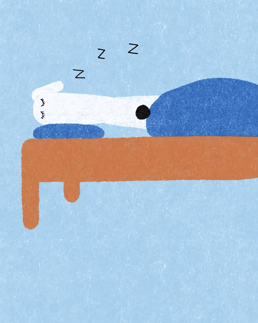 Ilustrace spící bílé kočky na lavičce pod modrou dekou, nad ní jsou znaky spánku Z.