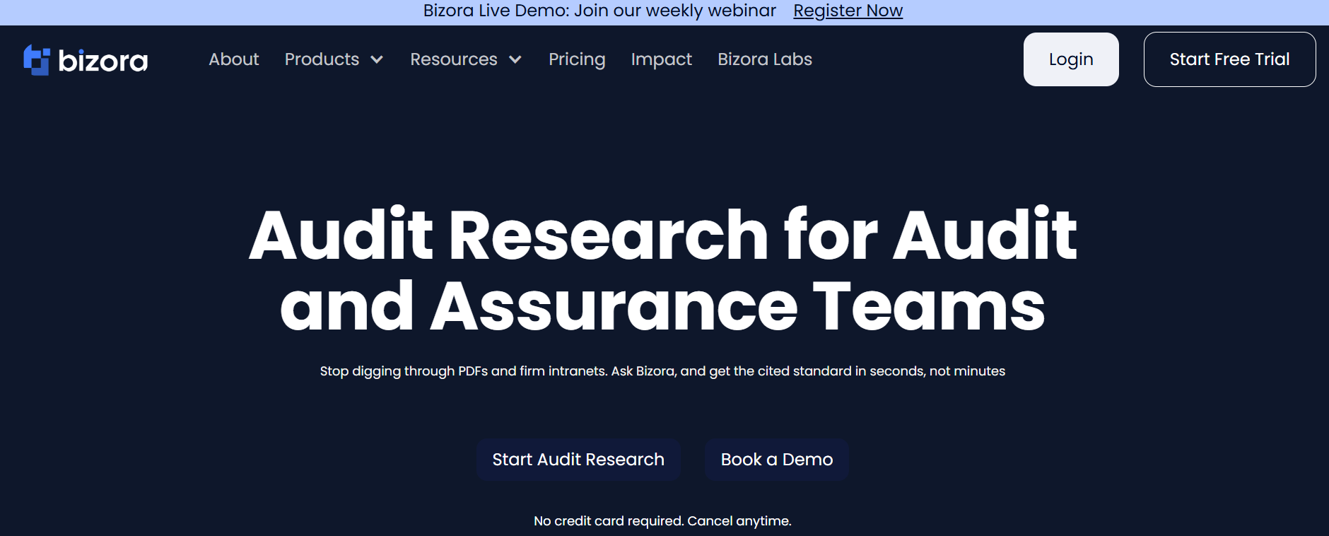 Bizora AI Audit Research
