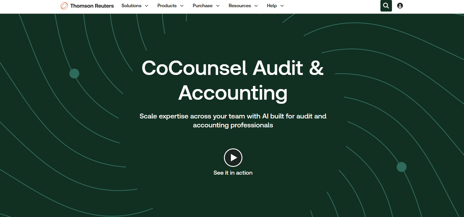 CoCounsel Audit & Accounting