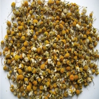 Flor de manzanilla tallo corto /Flowers of chamomile short size