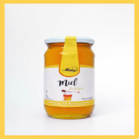 Miel de Abejas -  multifloral