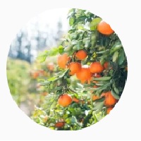 Marketing Access Strategy