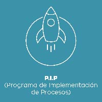 P.I.P (Implementación de Procesos)