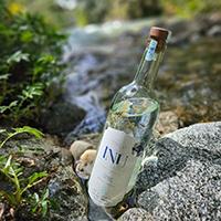 INU London Dry Gin Rosas