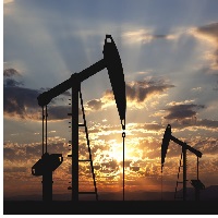 Consultoría: Auditorías; Inspección de Integridad técnica de equipos de torre, Capacitación