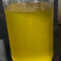 Aceite crudo de Girasol Prensado en Frio