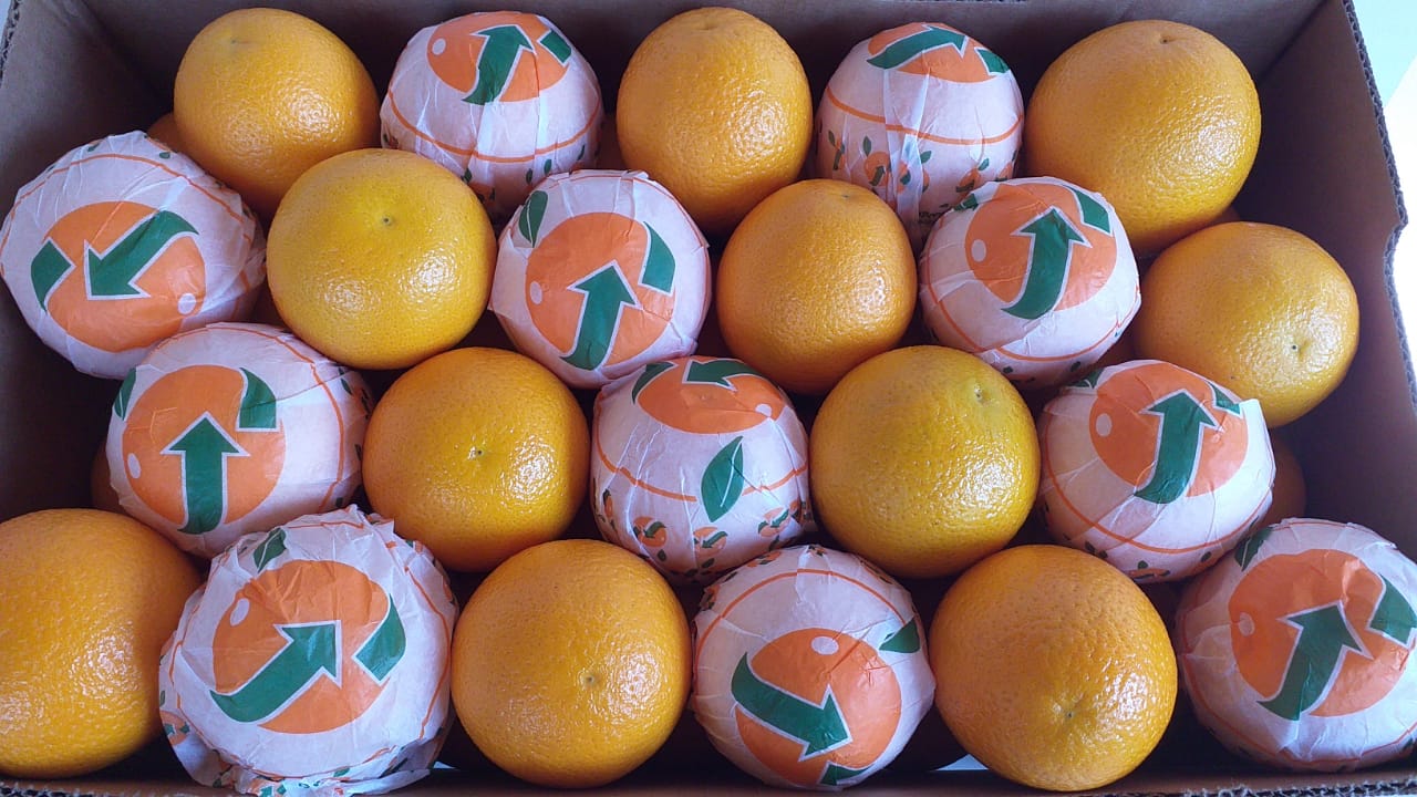 Naranjas