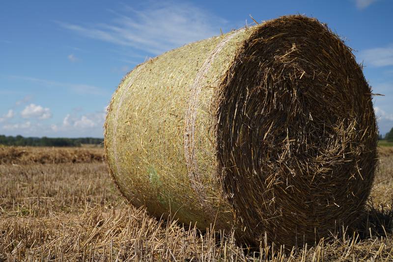 AGRONET · Malla Agrícola