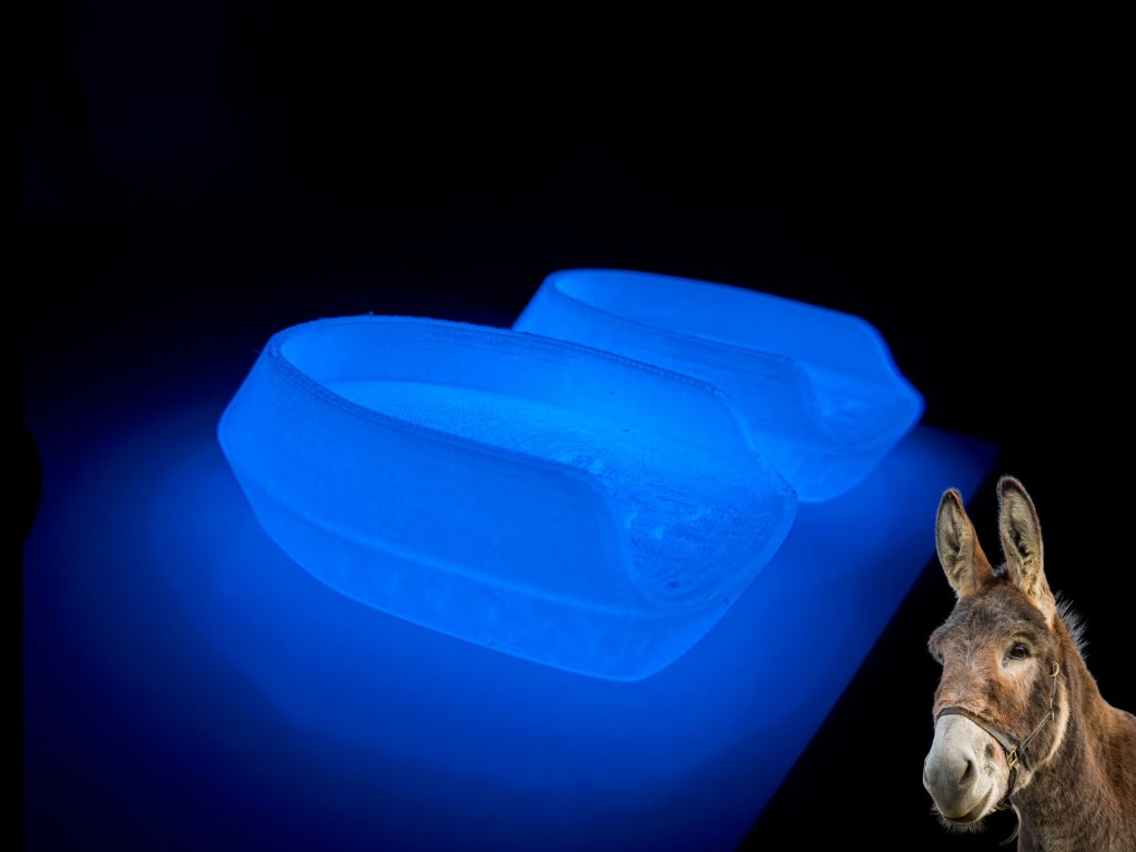 3D HoofCare Donkey Sticker
