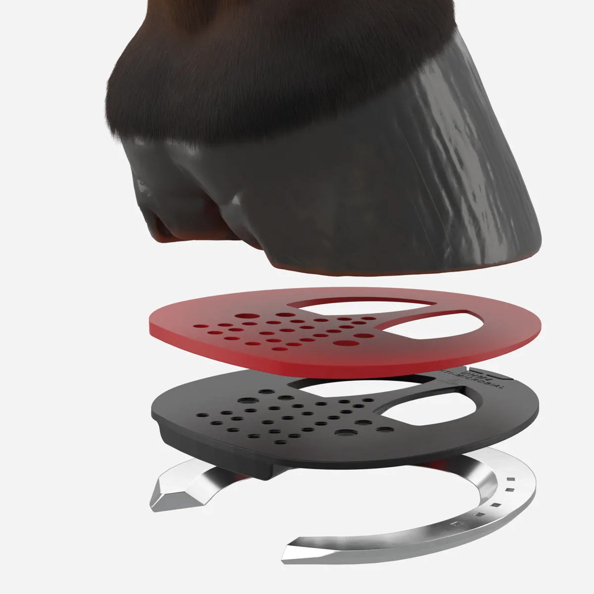 Universal Half Mesh Narrow Pad Degree Insert on its pad with a hoof and shoe, exploded view