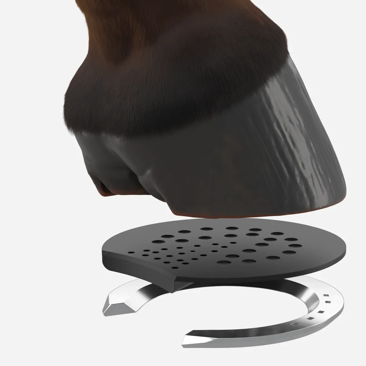 3D Full Mesh Pad with a hoof and shoe, exploded view