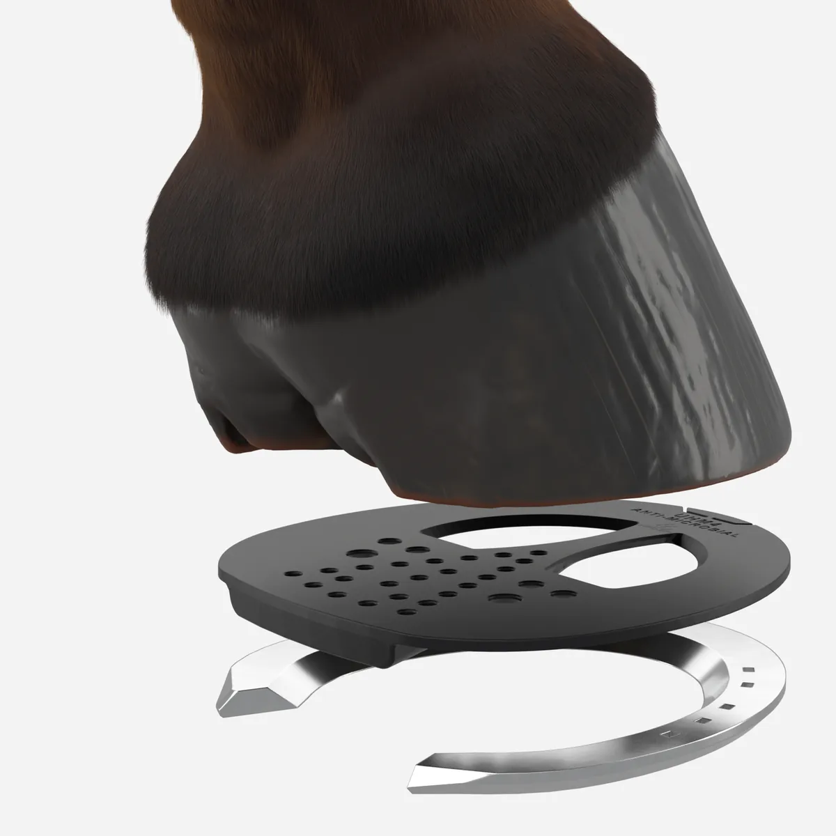 3D Universal Half Mesh Pad with a hoof and shoe, exploded view