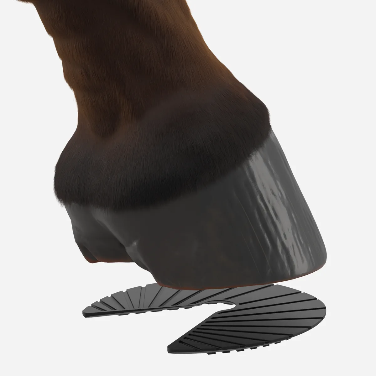 MoreAid Ground Pad below a bare hoof, exploded view