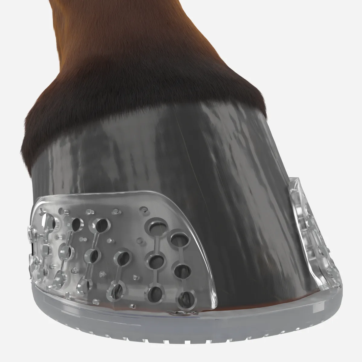 EasyShoe One fitted on a hoof