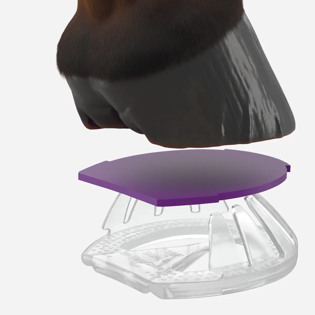 EasyShoe 3D Air Insert Front exploded view