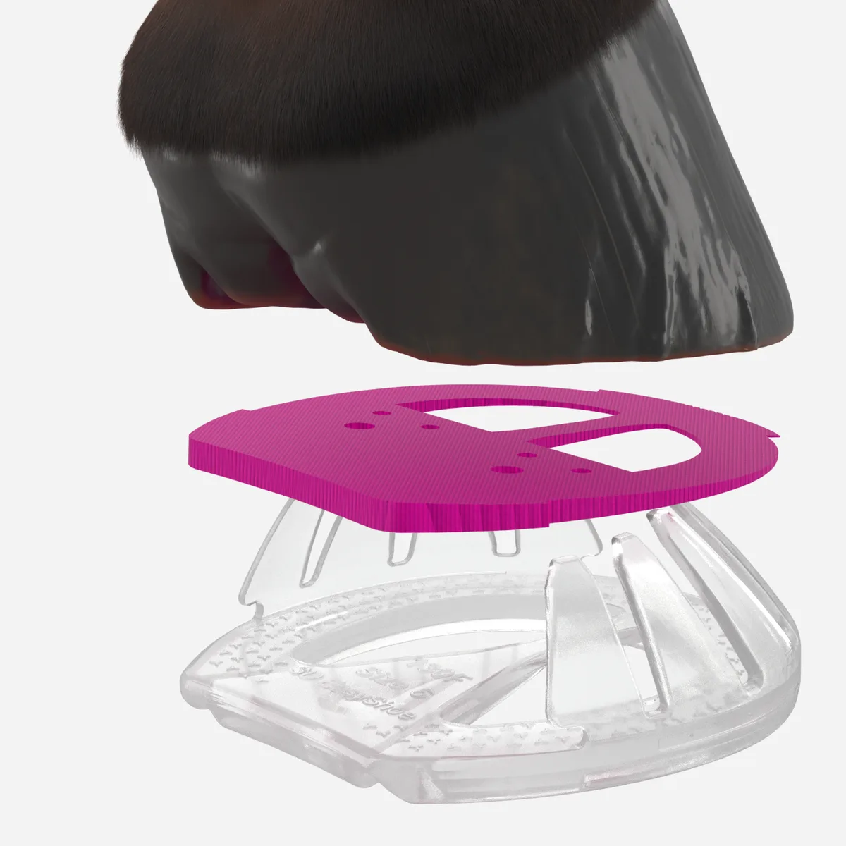 EasyShoe 3D Half Mesh Insert in an EasyShoe 3D with a hoof, exploded view