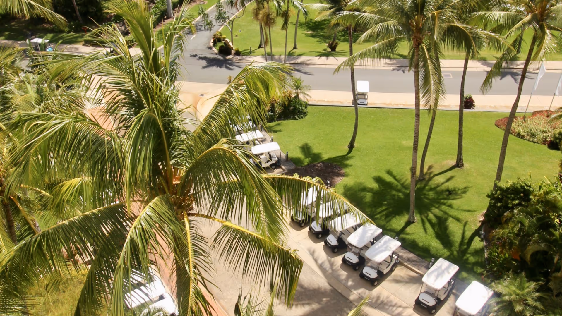 Where Celebration Meets Sustainability