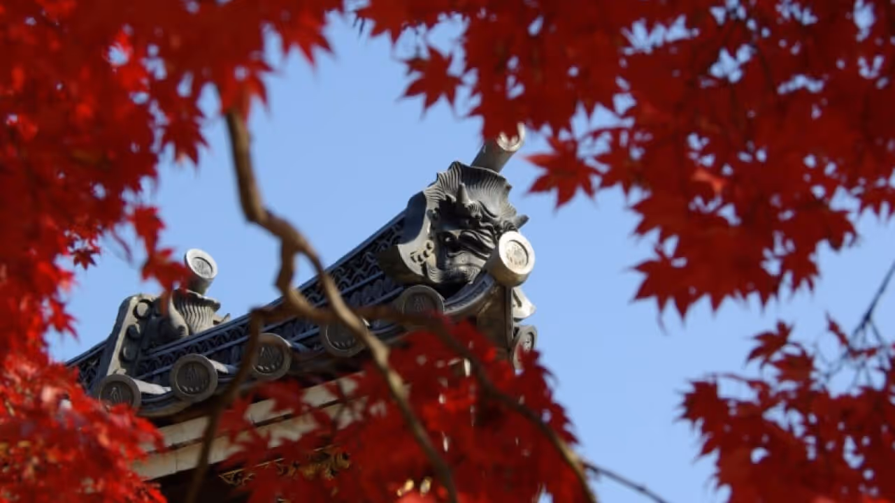 Japan Architecture Tour