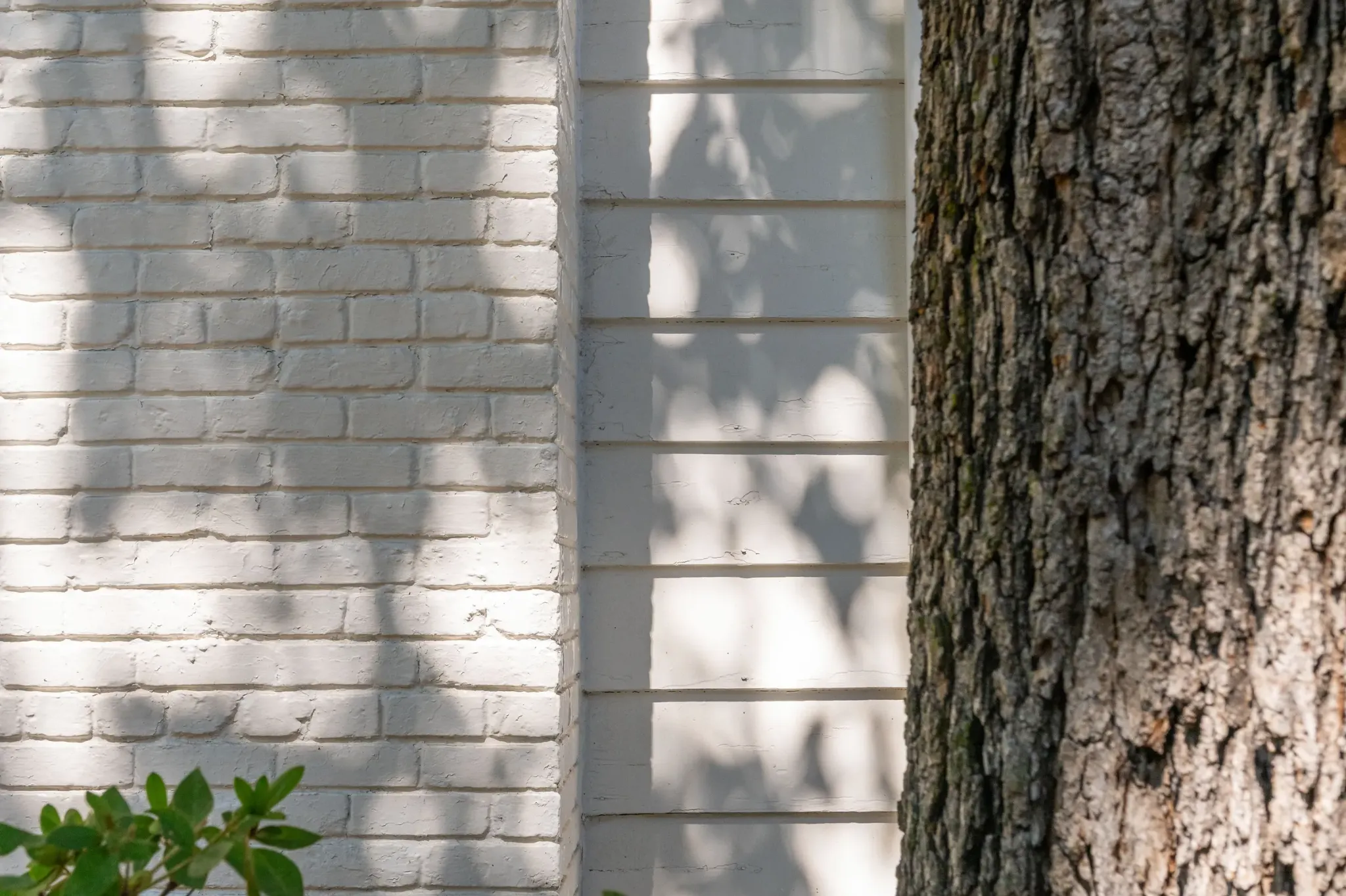 Tree shadows across a brick wall
