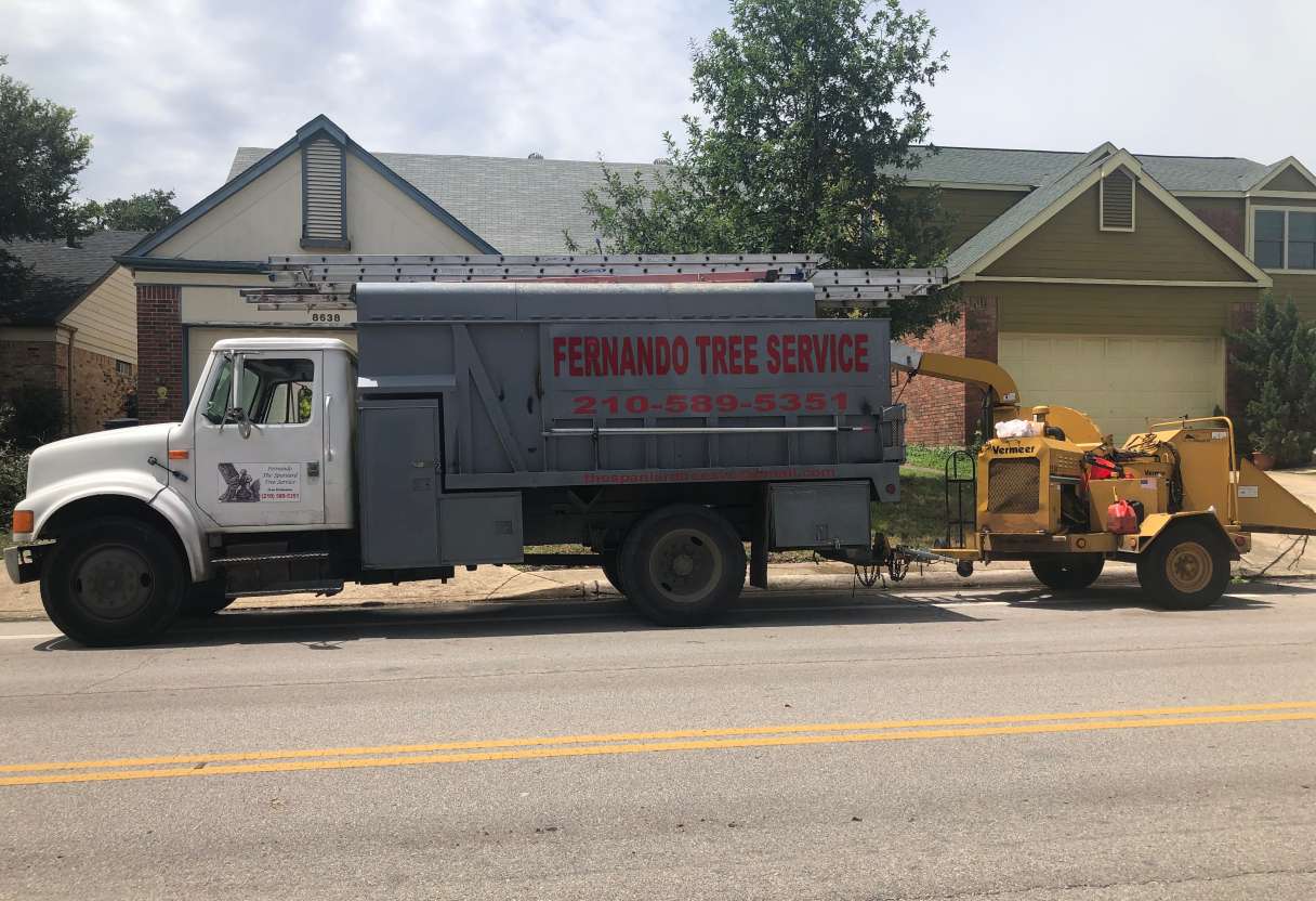 The Spaniard used to be called Fernando Tree Service