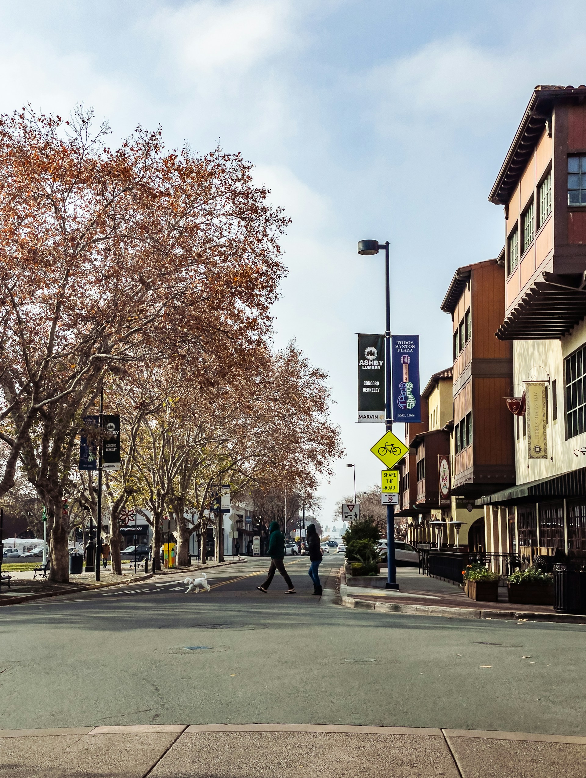 Concord business owner getting local IT support from Pacific Computer Consultants