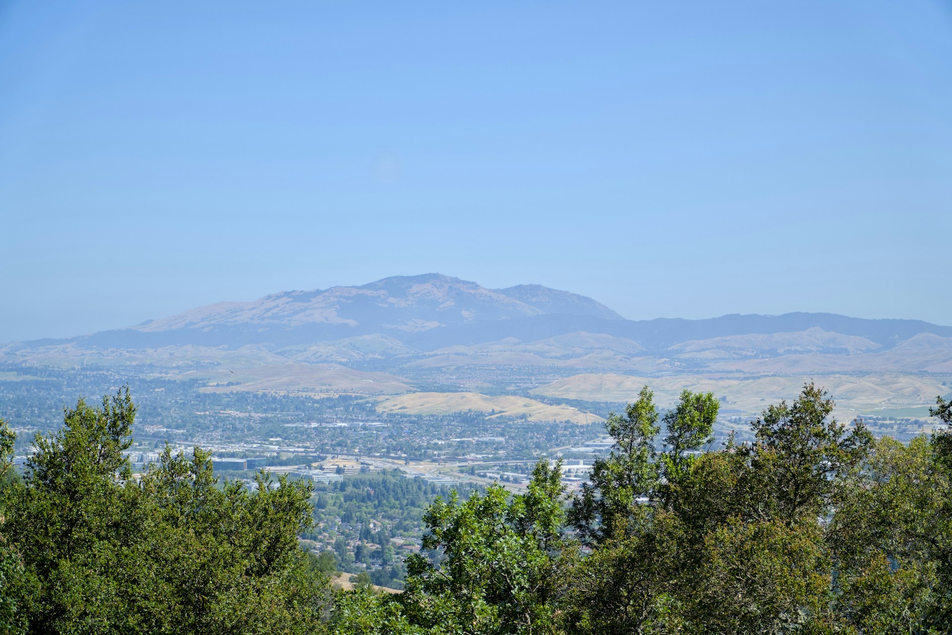 Pleasant Hill business owner getting local IT support from Pacific Computer Consultants