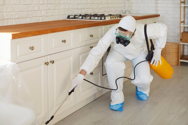 image of maintenance service team at work (for a property management company)