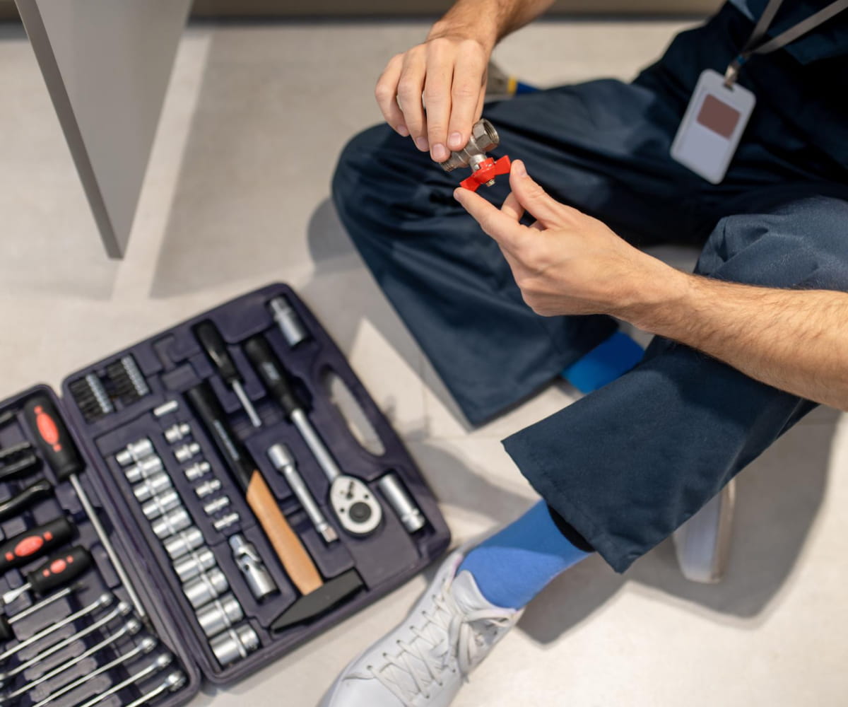 Project One Img