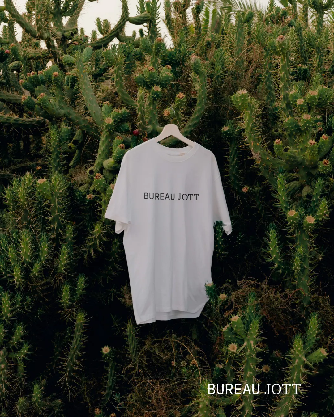 Weißes T-Shirt mit Aufdruck ‚BUREAU JOTT‘ hängt an einem Kleiderbügel vor einem Kaktusbusch.