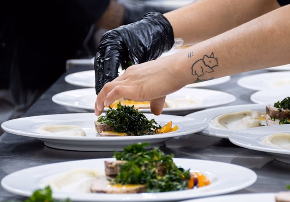 Auswahl an frischen Salaten und gesunden Zutaten für Catering