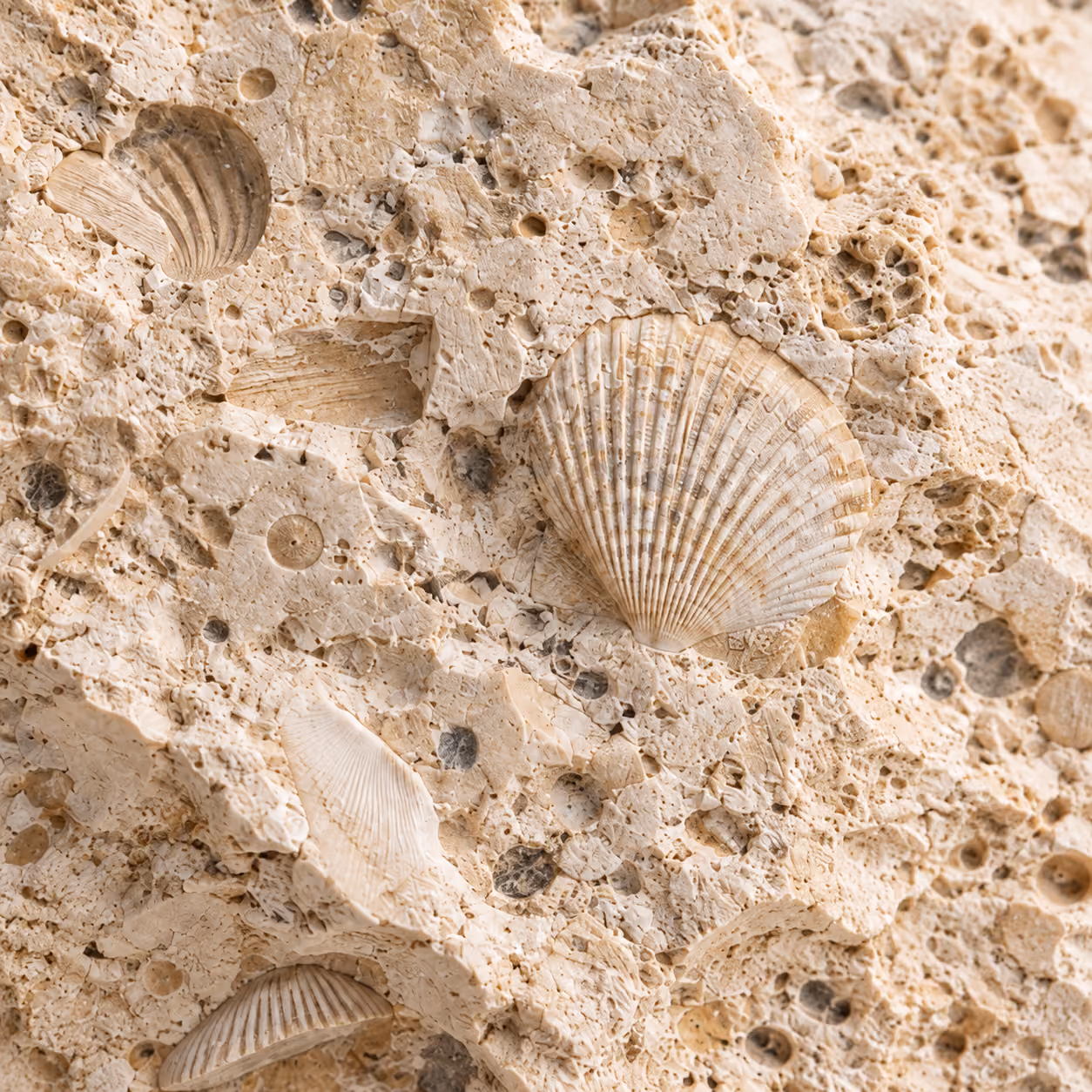 What is limestone made of?