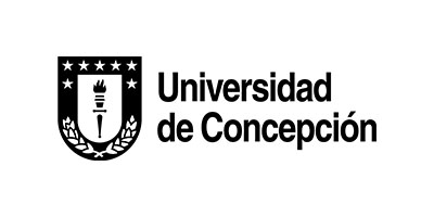 Universidad de Concepción logo featuring a shield with stars, a torch, and laurel branches to the left of the university name in bold text.