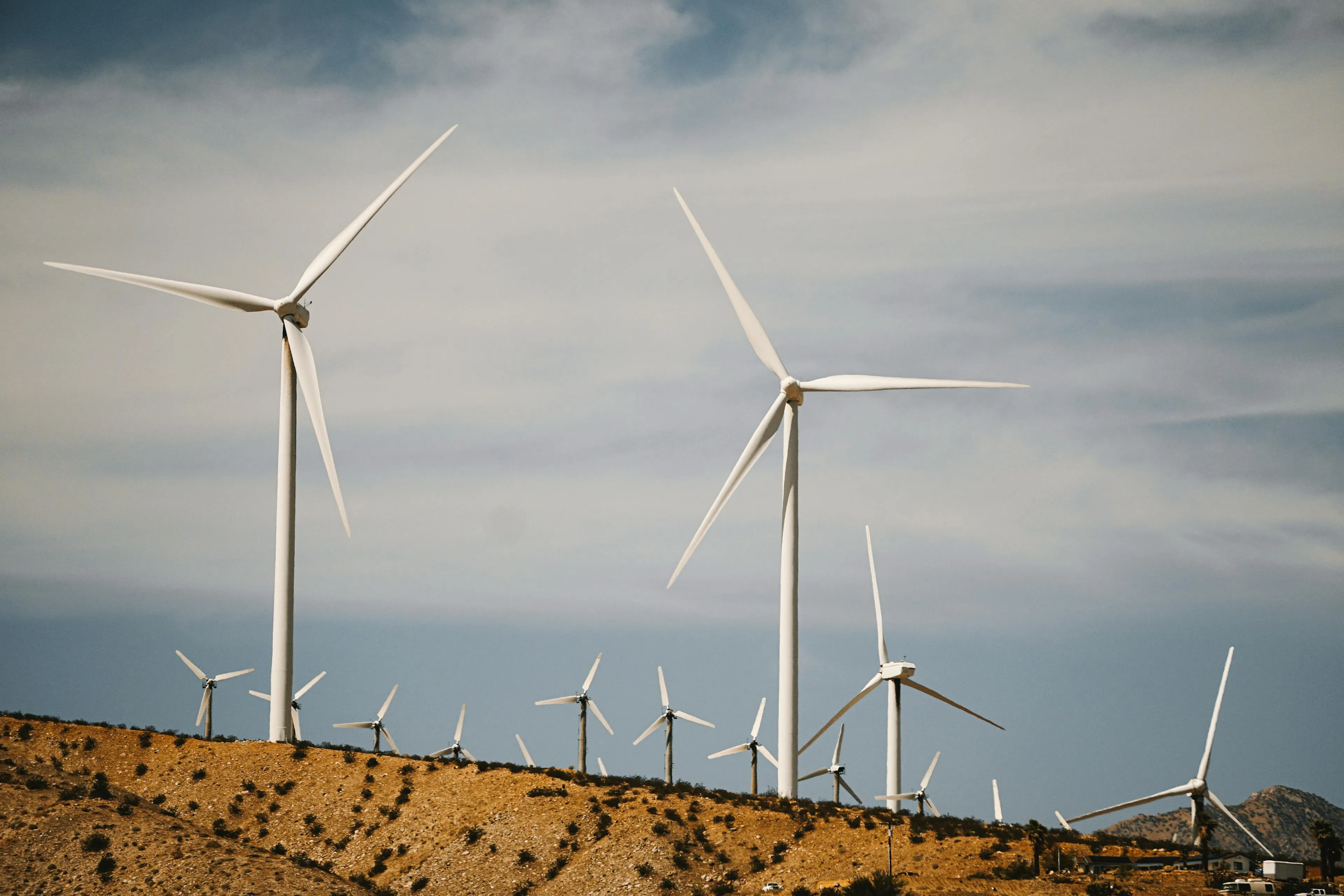 Wind Turbine field